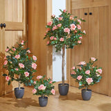 Smart Garden 40cm Perfect Pink Regents Roses