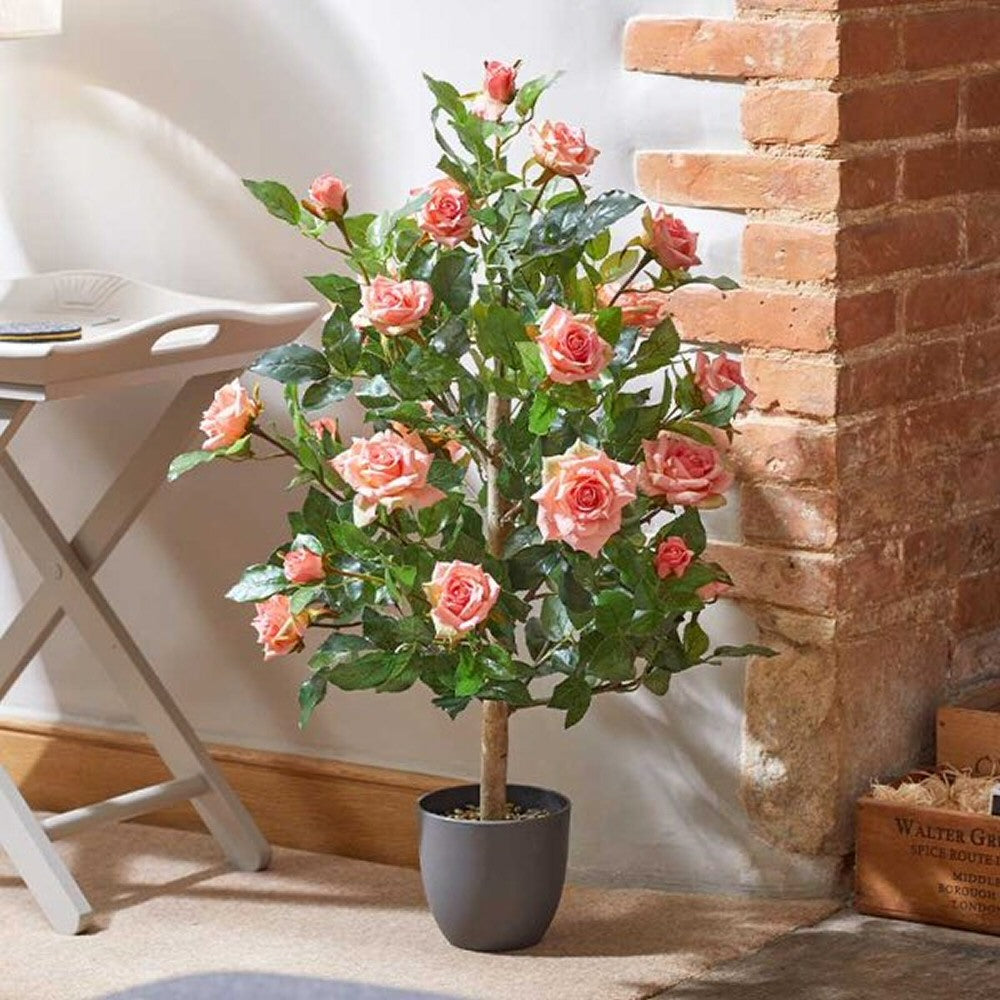 Smart Garden 80cm Perfect Pink Regents Roses