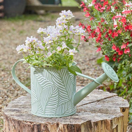 Smart Garden 16cm Watering Can Metal Plant Pot Fern Sage