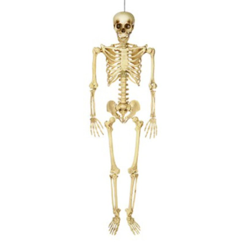 Premier 1.5m Hanging Skeleton