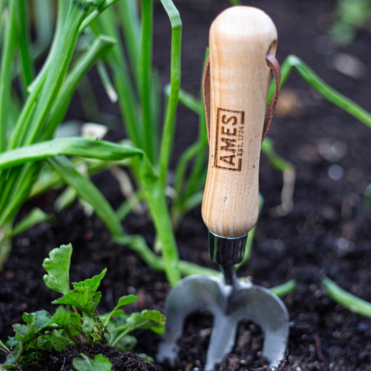 AMES 27cm Stainless Steel Hand Fork