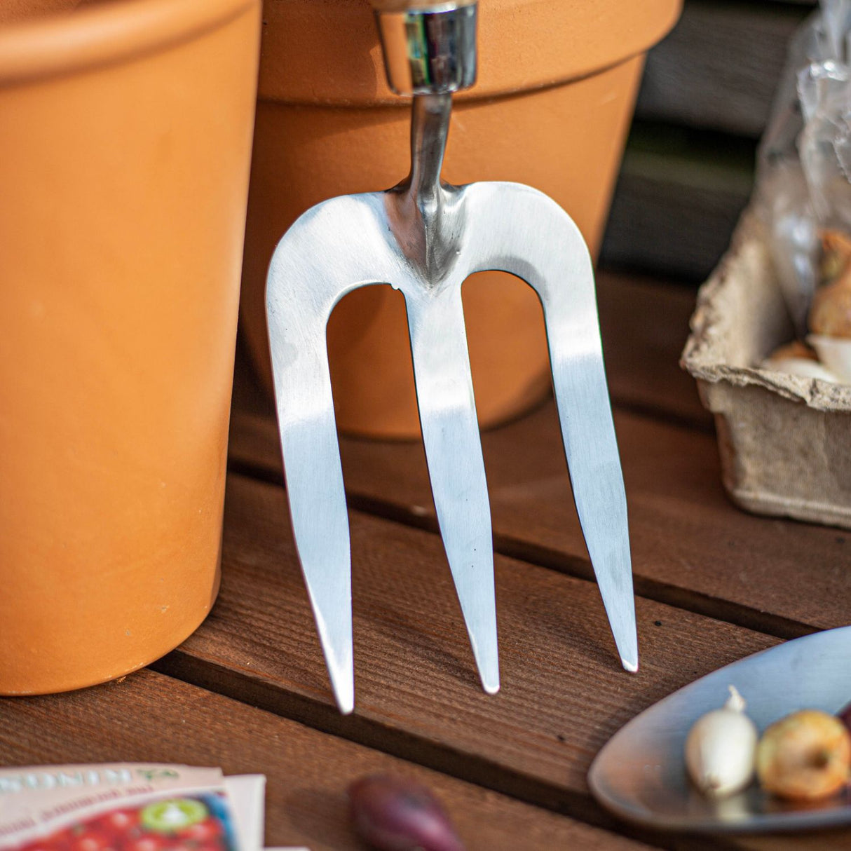 AMES 27cm Stainless Steel Hand Fork