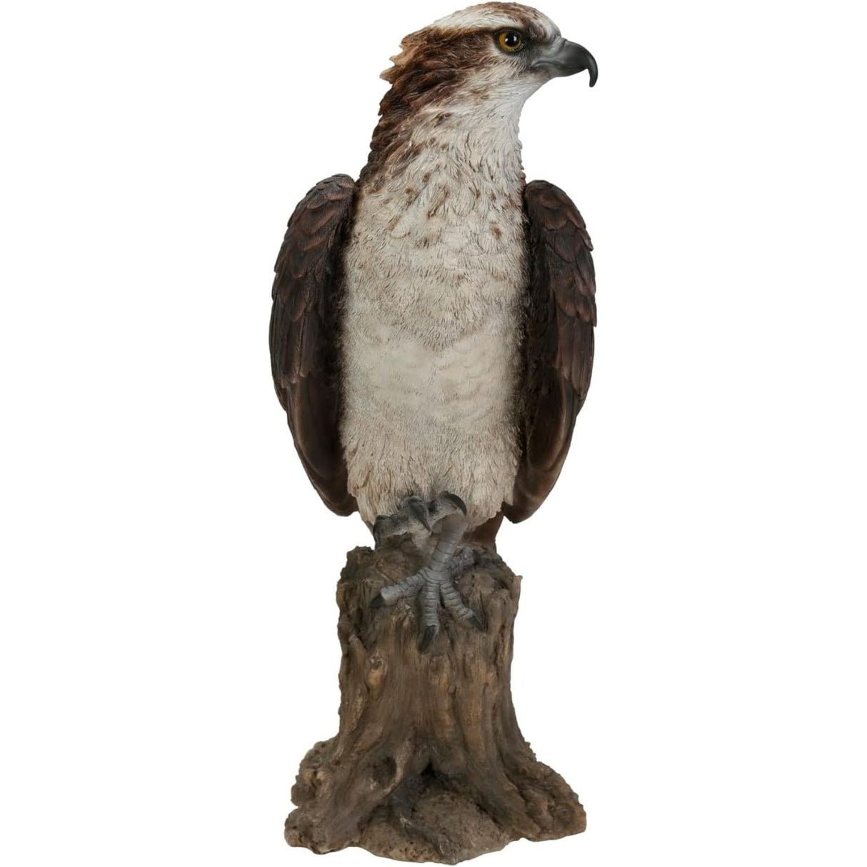Vivid Arts 20.5cm British Bird Osprey Real Life Resin Ornament