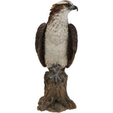 Vivid Arts 20.5cm British Bird Osprey Real Life Resin Ornament