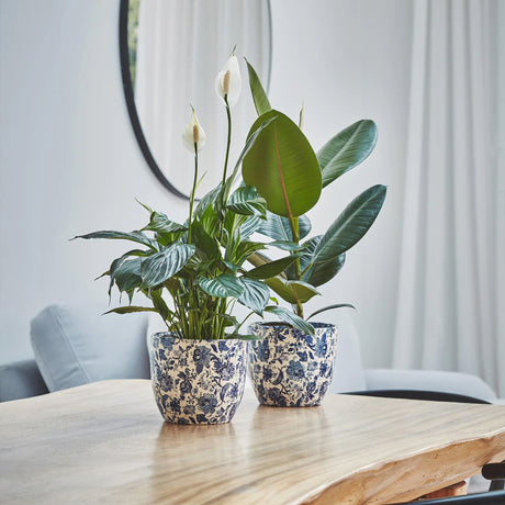 Ivyline 13cm Blue Vintage Monza Planter