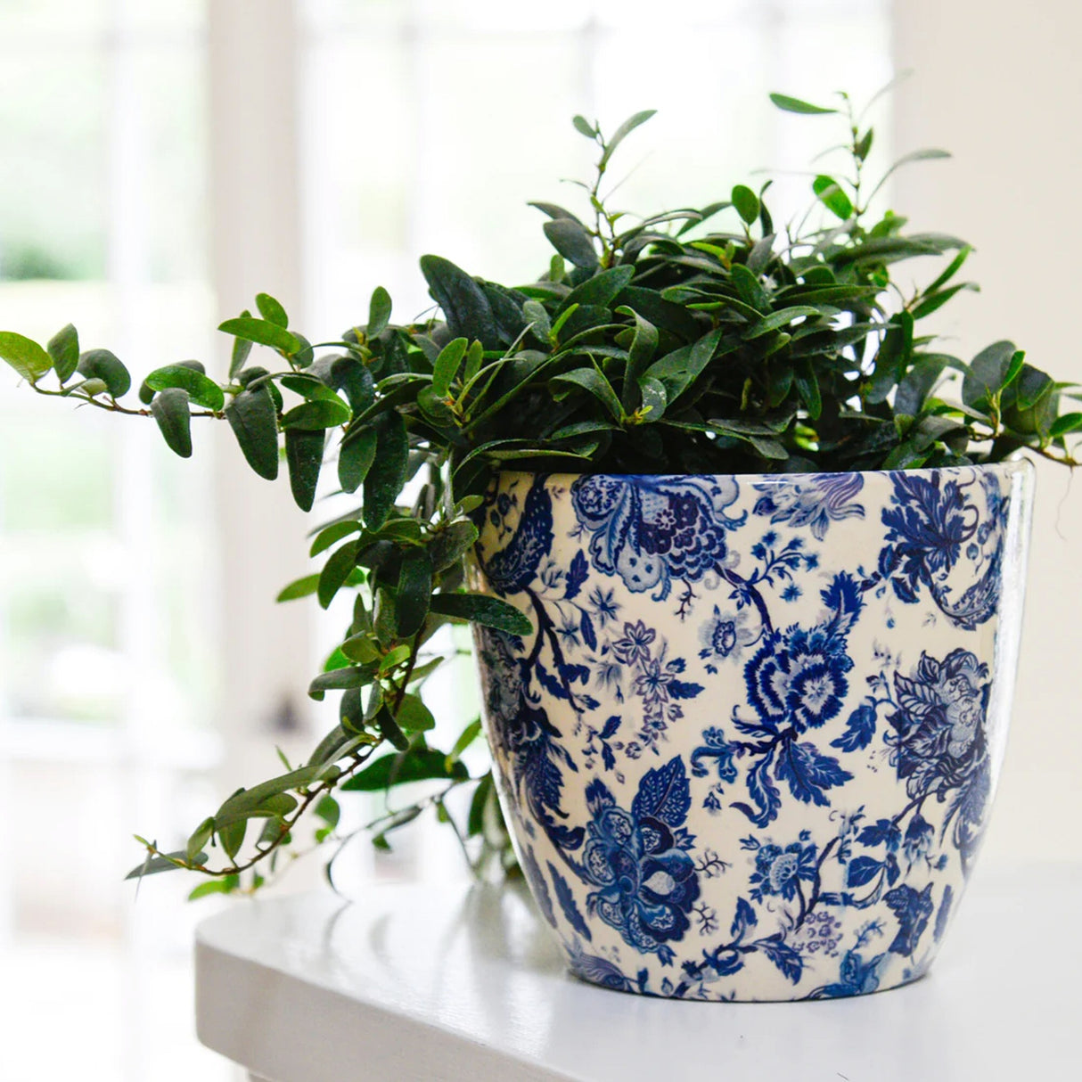 Ivyline 16cm Blue Vintage Monza Planter