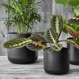 Ivyline 18.5cm Anthracite Lisbon Planter