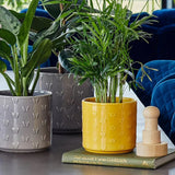 Ivyline 17.5cm Blue Arley Embossed Dragonfly Glazed Planter