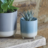 Ivyline 8.5cm Aqua Matte Jolie Planter