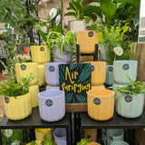 Ivyline 12cm Apricot Orange Geo Positano Pot