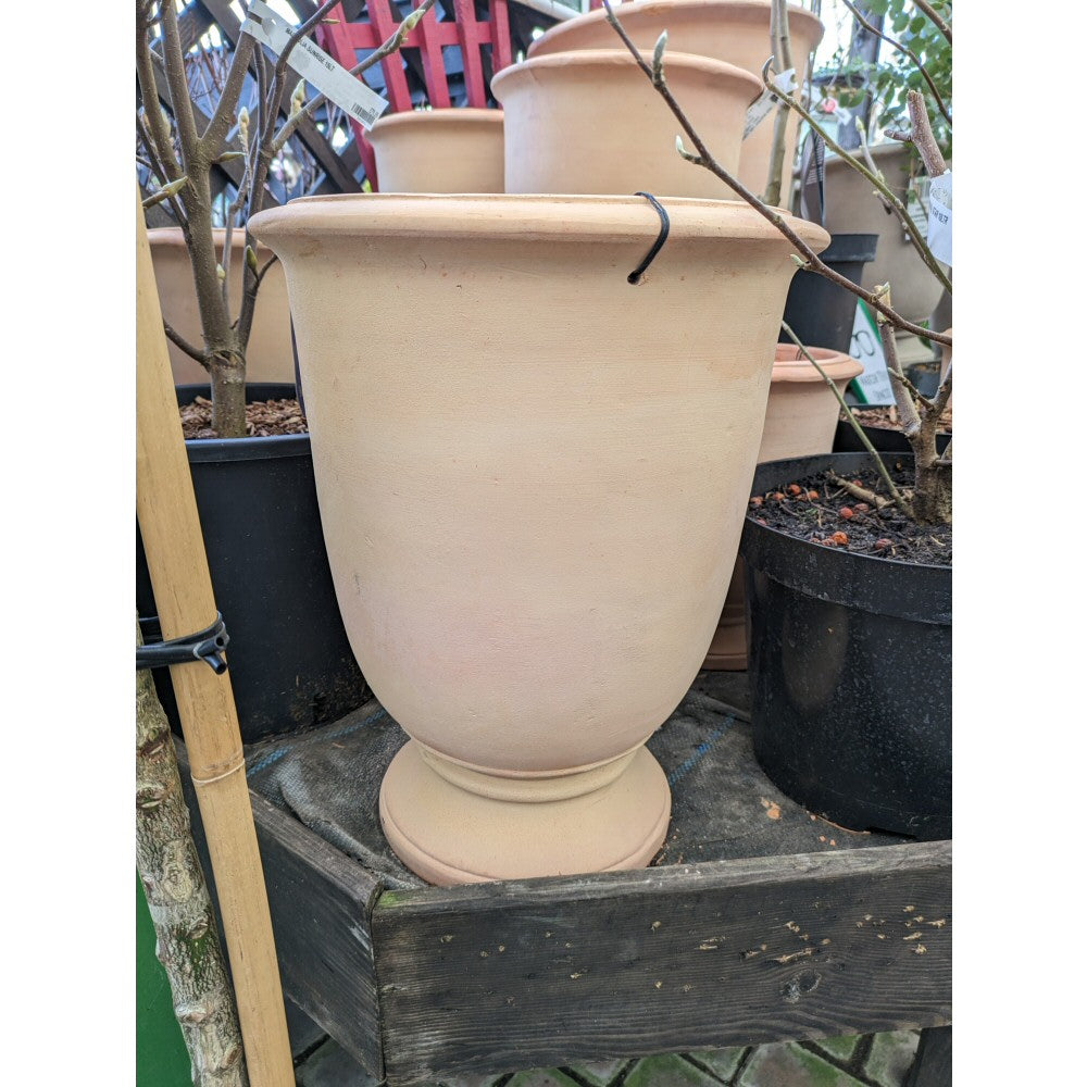 30cm terracotta plant pots Ivyline 30cm Terracotta Oxford Urn Planter – Old Railway Line Garden Centre