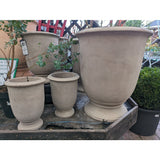 Ivyline 30cm Mocha Terracotta Oxford Urn Planter