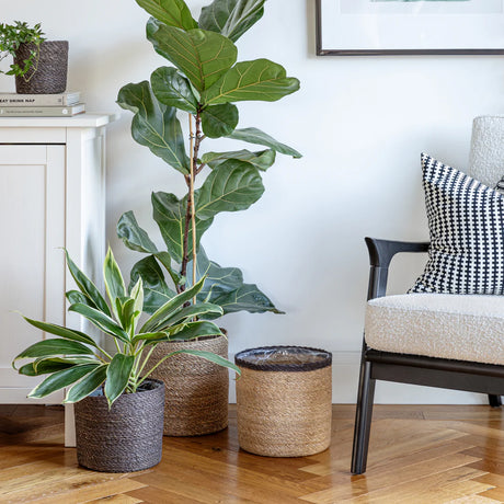 Ivyline 13cm Theo Grey Rim Woven Storage Basket Planters 100% Natural Split Seagrass