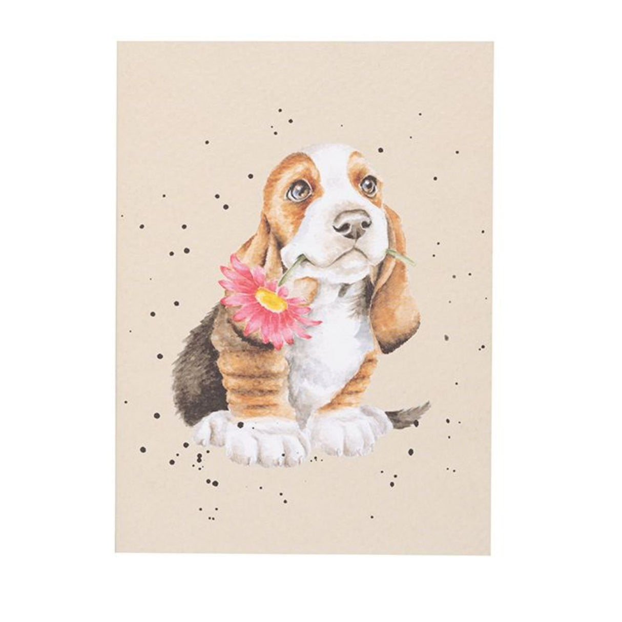 Wrendale A6 Just for You Dog Notebook