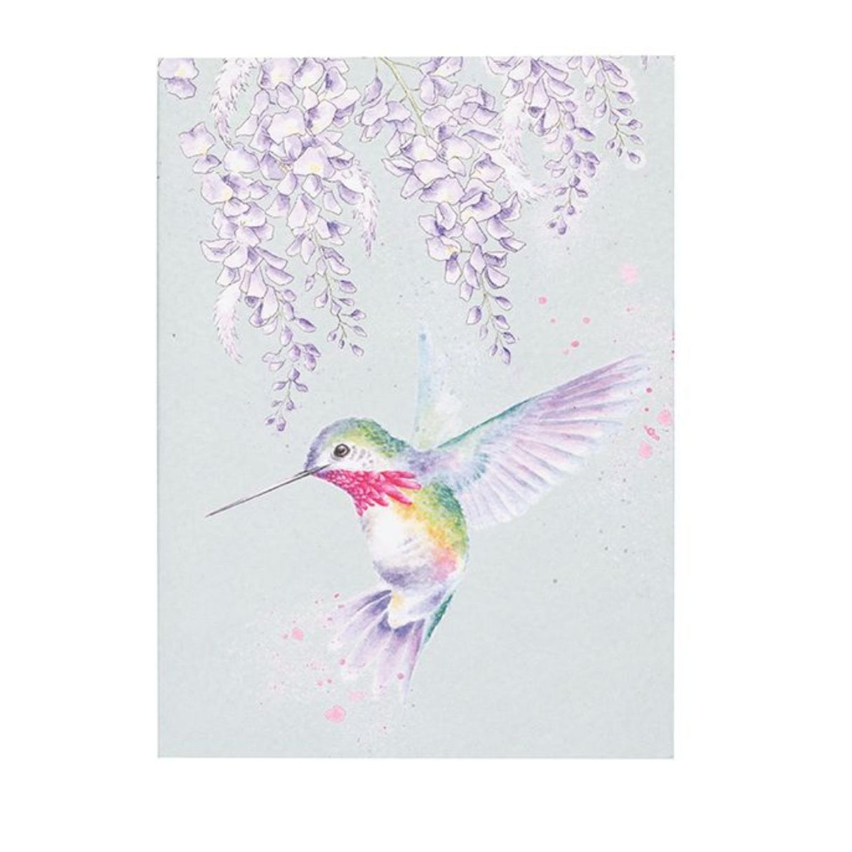 Wrendale A6 Wisteria Wishes Humming Bird Notebook