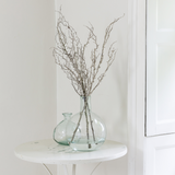 Grand Illusions Hawthorn Branch