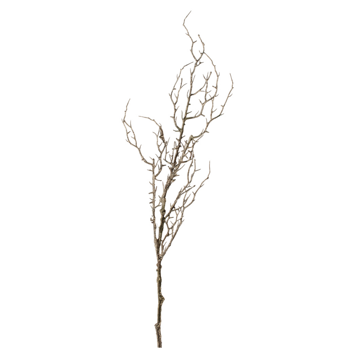 Grand Illusions Hawthorn Branch