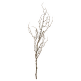 Grand Illusions Hawthorn Branch