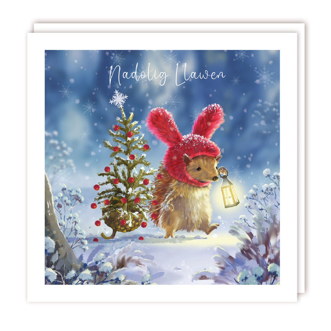 Tracks Publishing Welsh Xmas Hedgehog Christmas Cards - Pack of 5