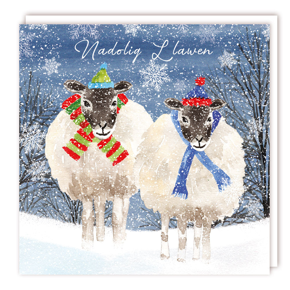Tracks Publishing Welsh Xmas Two Sheep in Hats Christmas Cards - Pack of 5