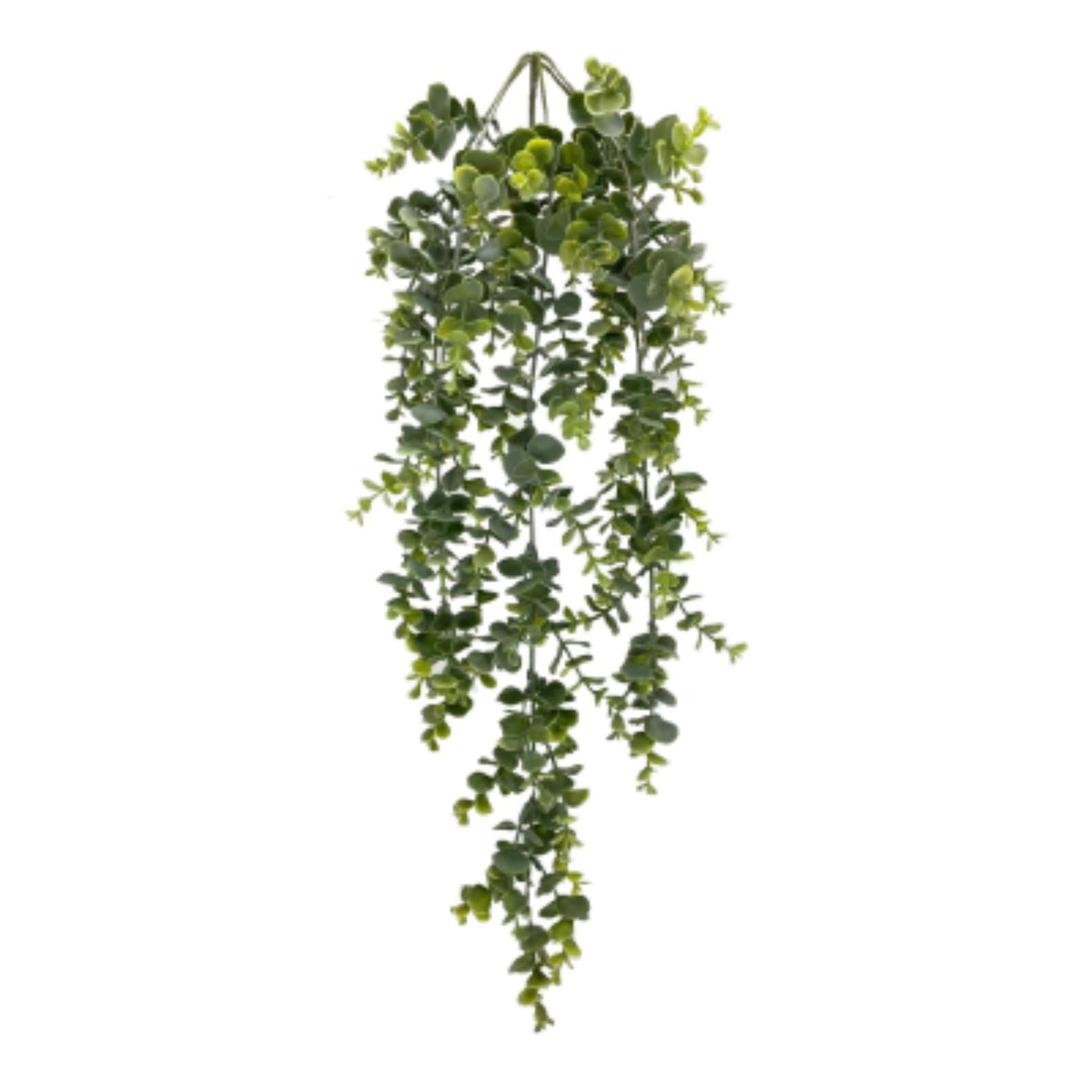 Sincere Floral 79cm Hanging Eucalyptus Trail