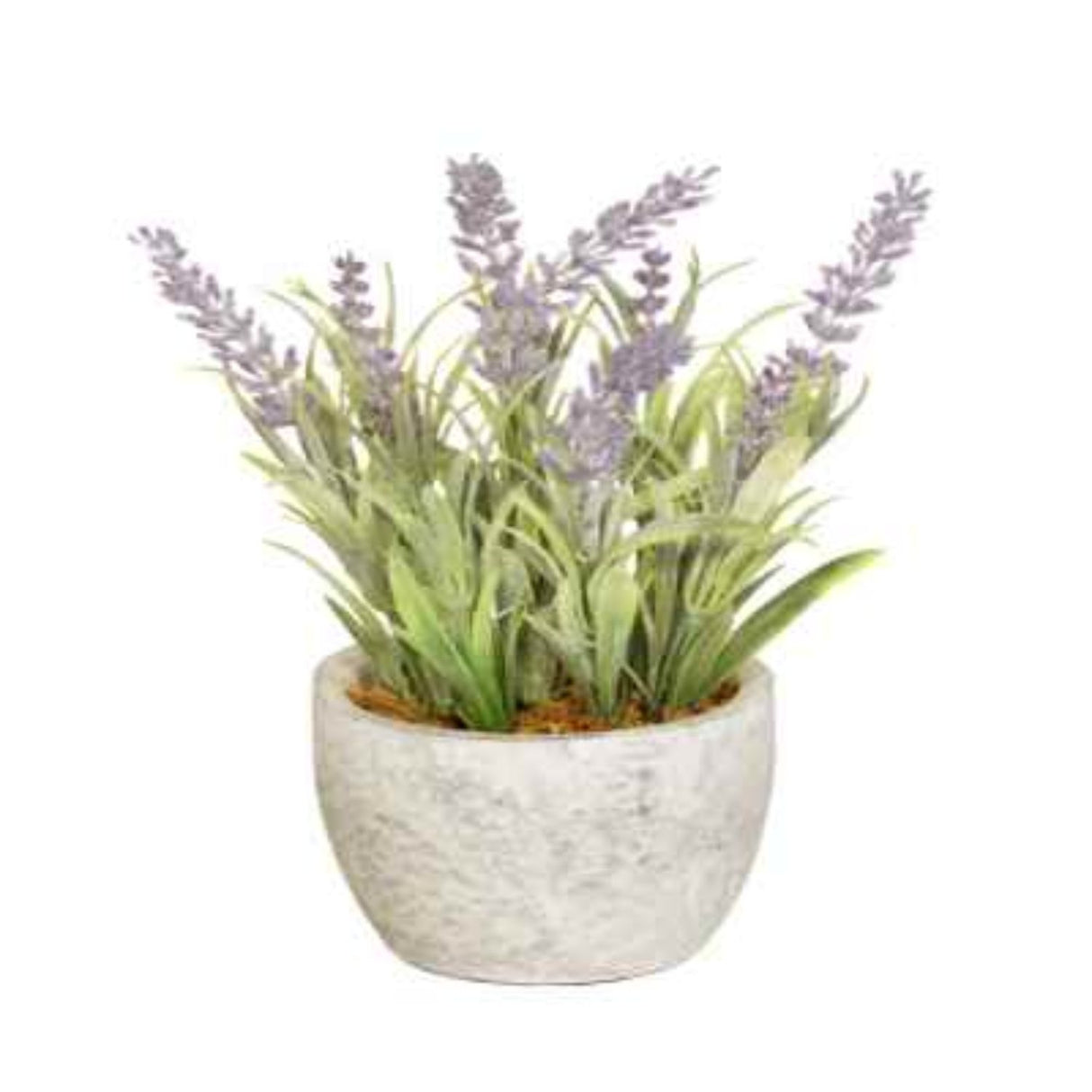Sincere Floral  24cm Artificial Lavender in Ceramic Pot