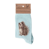 Wrendale 4-7 Hedgehugs Hedgehog Socks