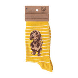 Wrendale 4-7 Little One Dachshund Socks