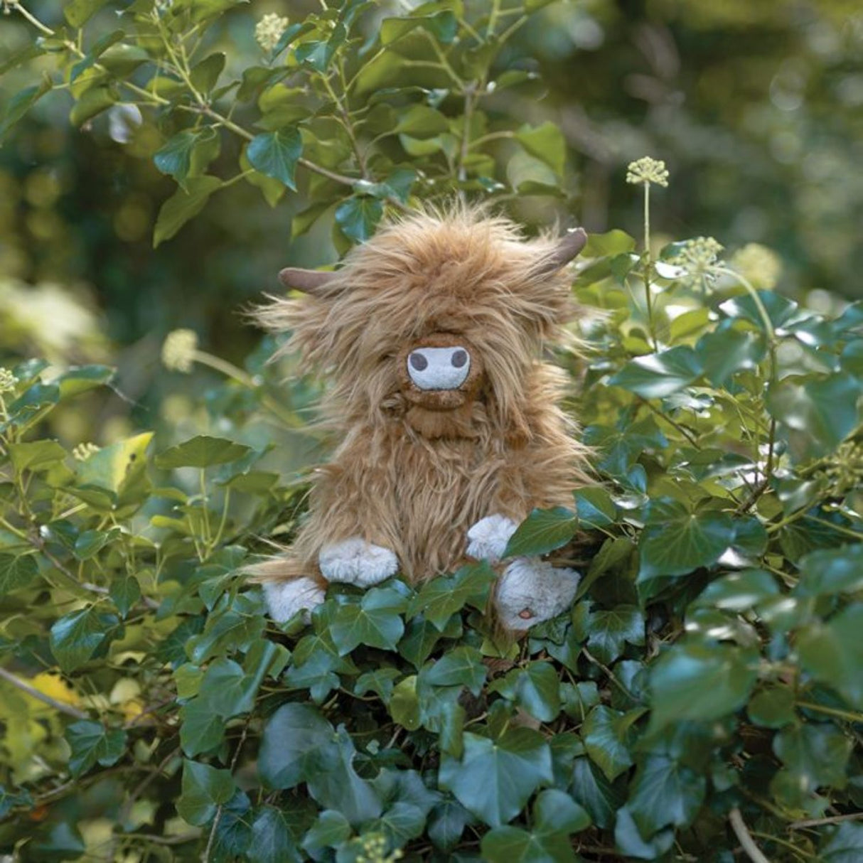 Wrendale 22cm Gordon the Highland Cow Medium Plush Toy