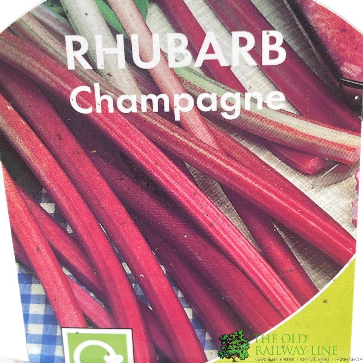 Rhubarb 'Pink Champagne' 3Ltr Pot