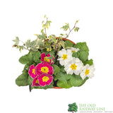 Primrose Bowl 21cm Pot
