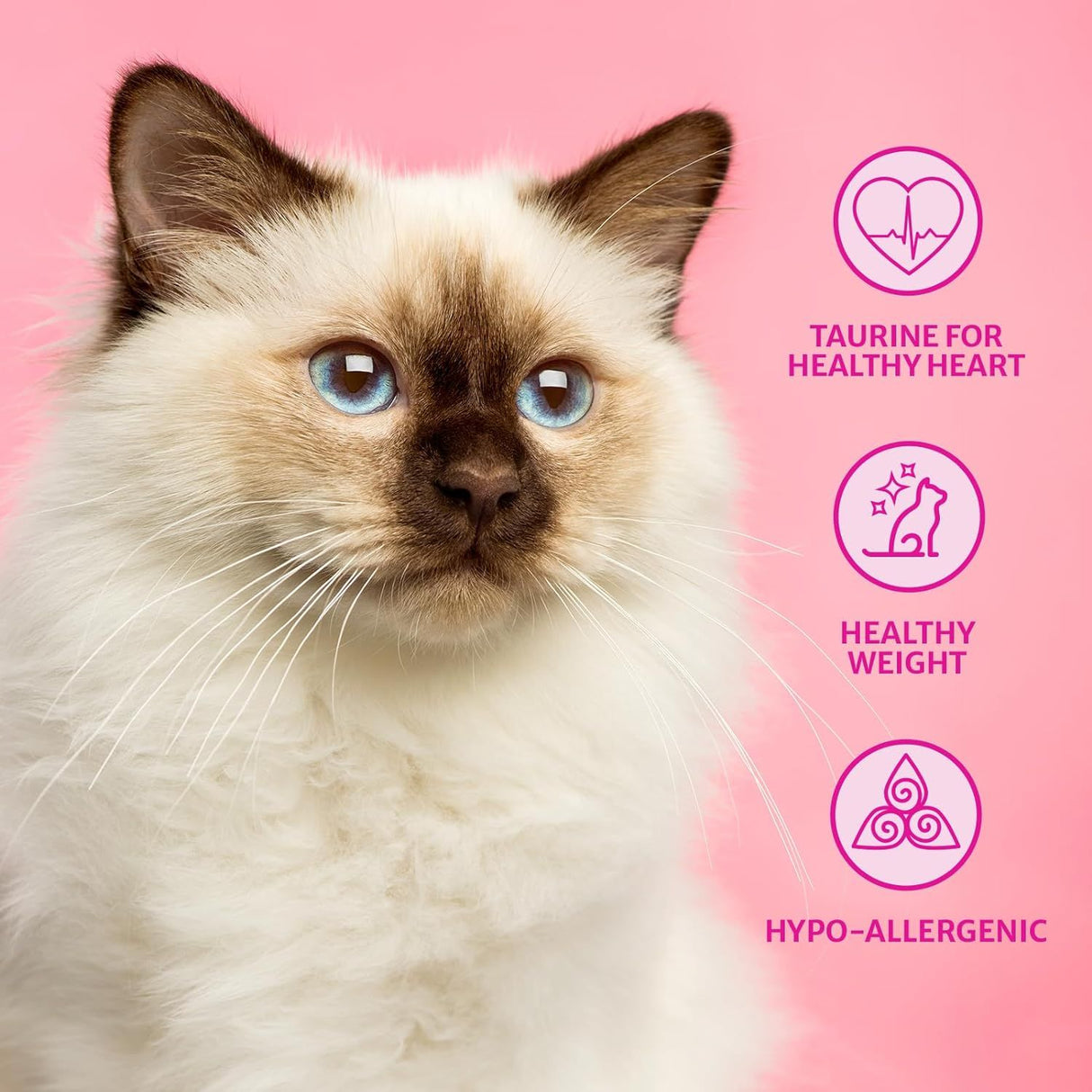 Burns 1.5kg Turkey & Brown Rice Adult & Senior Cat Food