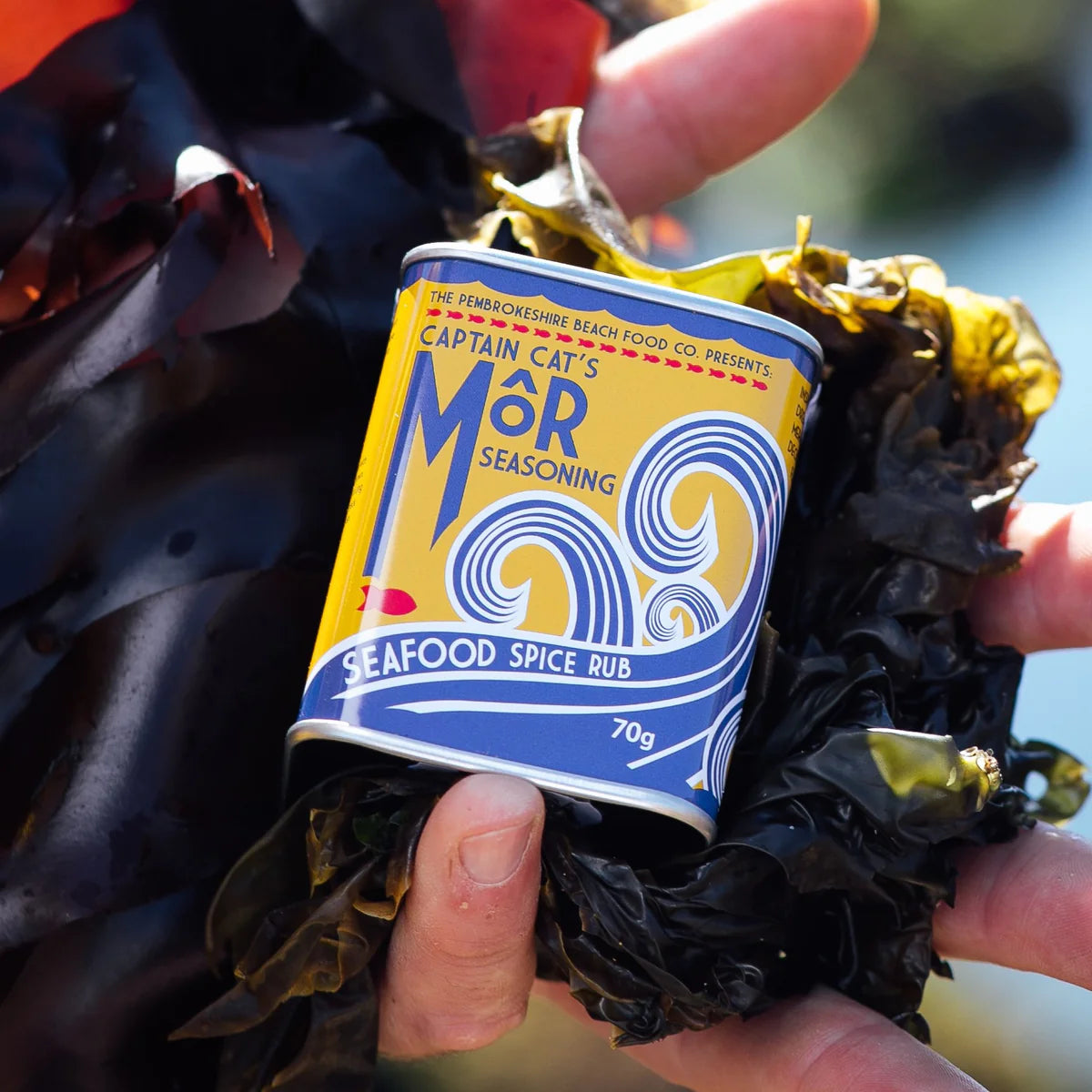 Pembrokeshire Beach Food Co. 70g Captain Cat's Mor Seasoning