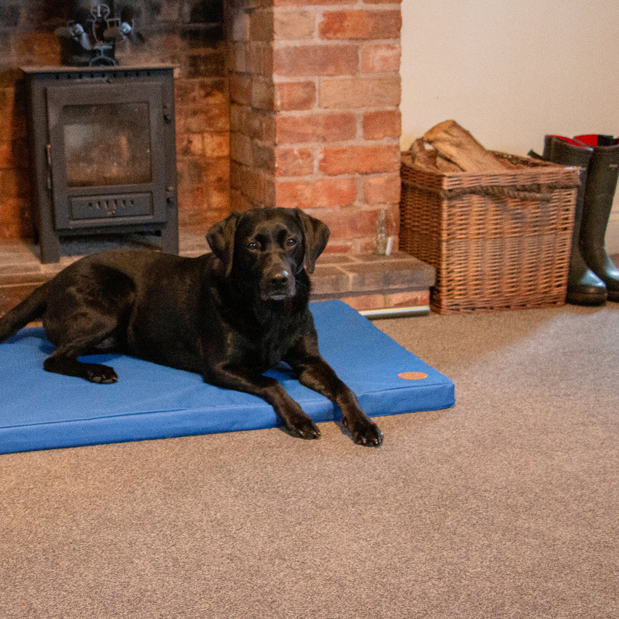 Ancol Sleepy Paws 122cm Waterproof Pad Dog Bed - Blue