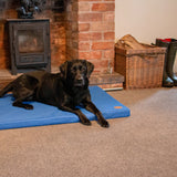 Ancol Sleepy Paws 122cm Waterproof Pad Dog Bed - Blue