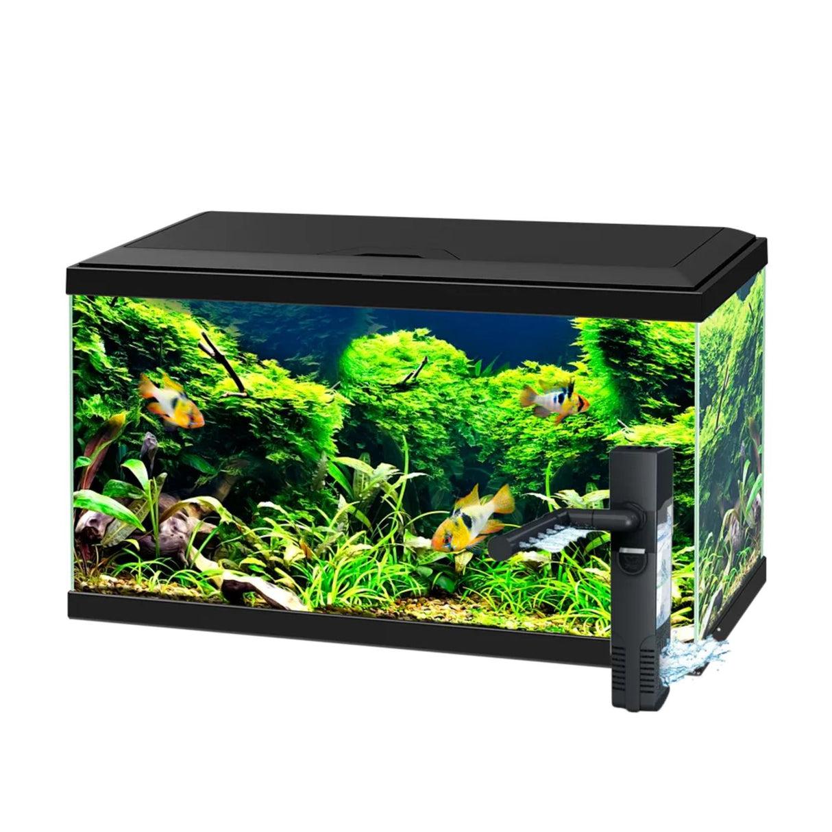 Ciano Black Aqua 60 LED Aquarium