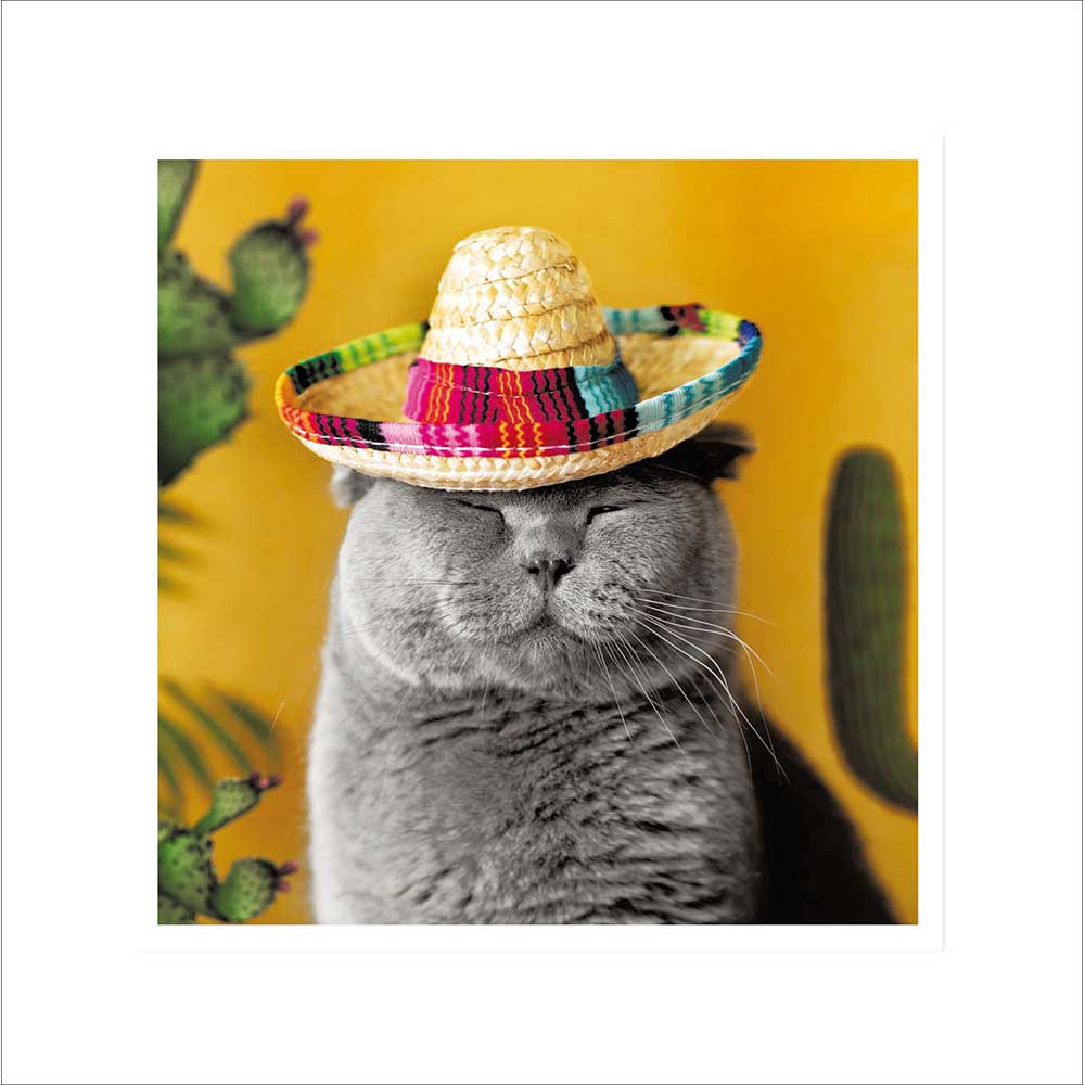 Woodmansterne Mexi-Cat Blank Card