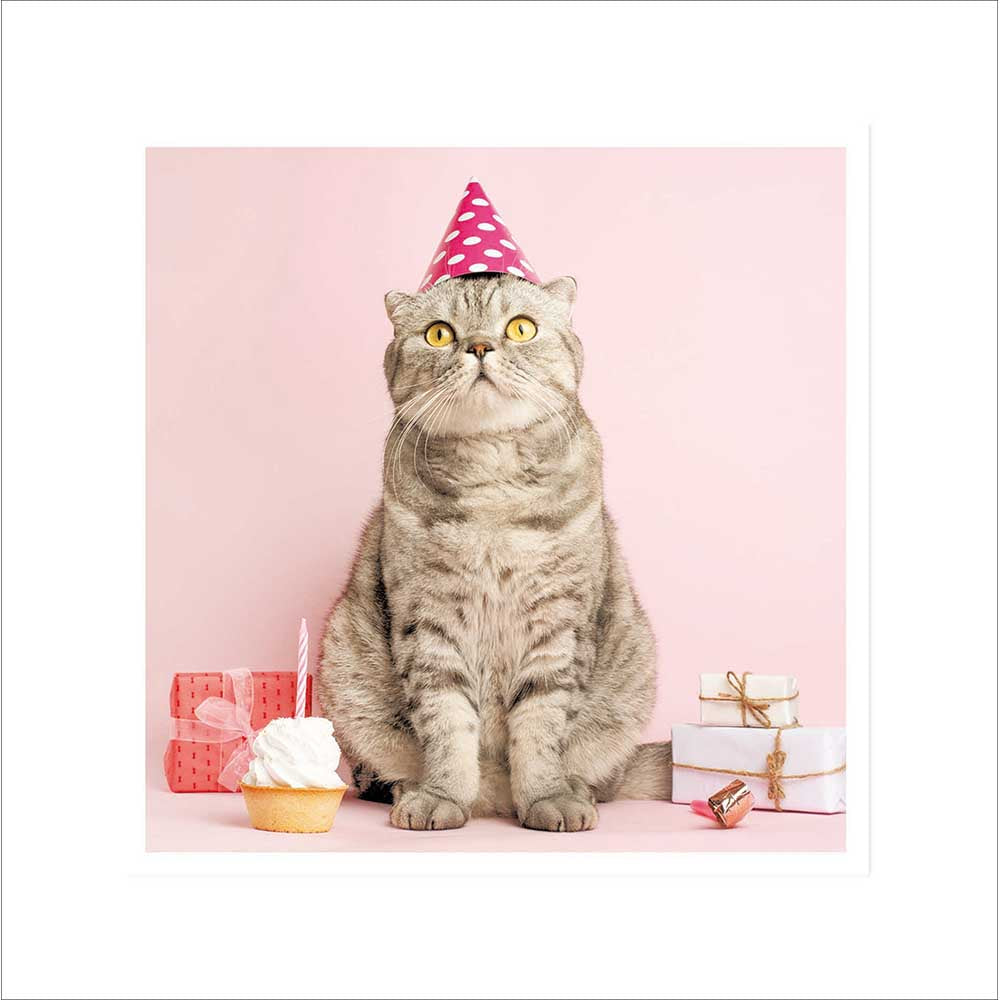 Woodmansterne Grey Cat with Party Hat & Cupcake Blank Card
