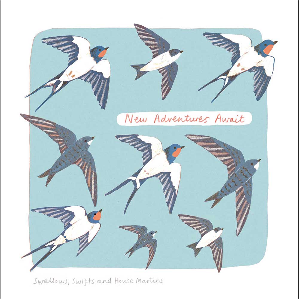 Woodmansterne Soaring Swallows New Adventure Card