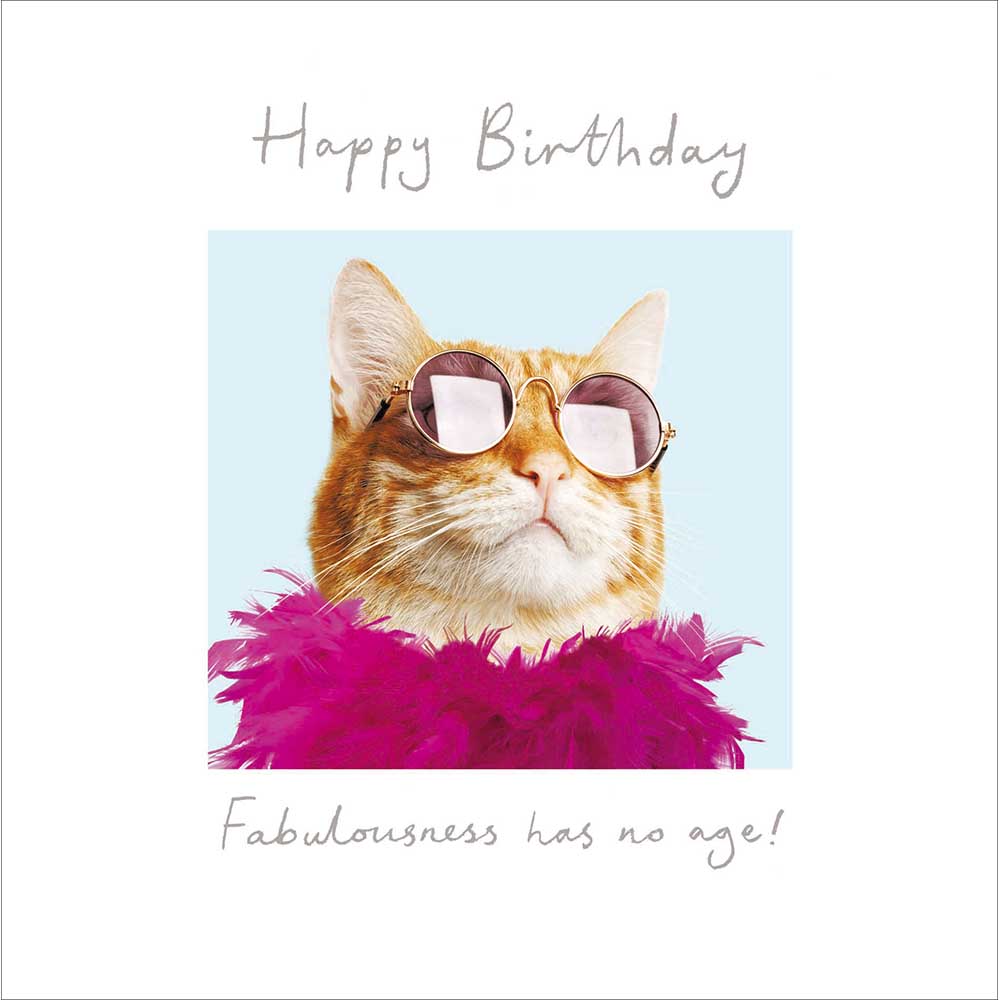 Woodmansterne Cat Buisness Birthday Card