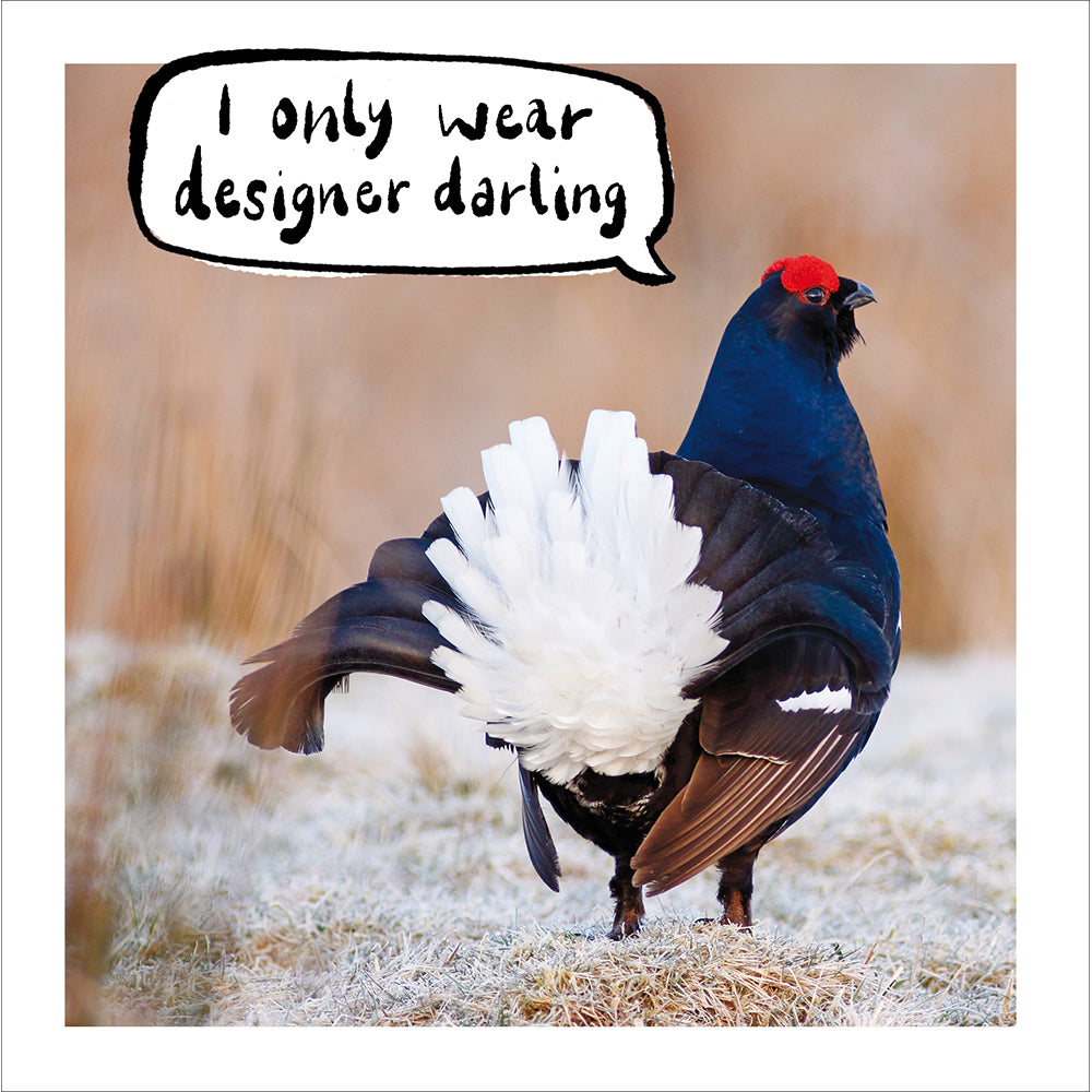 Woodmansterne Designer Darling Bird Blank Card