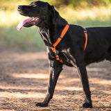 Rogz Classic Harness Pink - Small