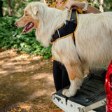 Rogz Airtech Sport Dog Harness Burnt Ochre - Large