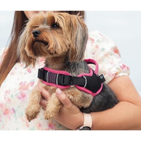 Rogz Airtech Sport Dog Harness Pink - Small