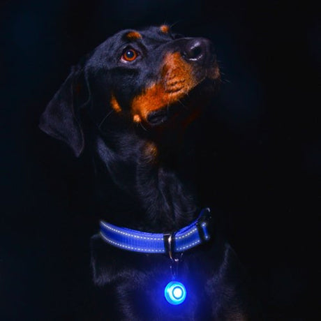 Rogz Roglite Safety Light - Red