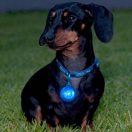 Rogz Roglite Safety Light - Lime Glow