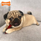 Nylabone Small Bacon & Steak Extreme Chew Basted Bone Twin Pack