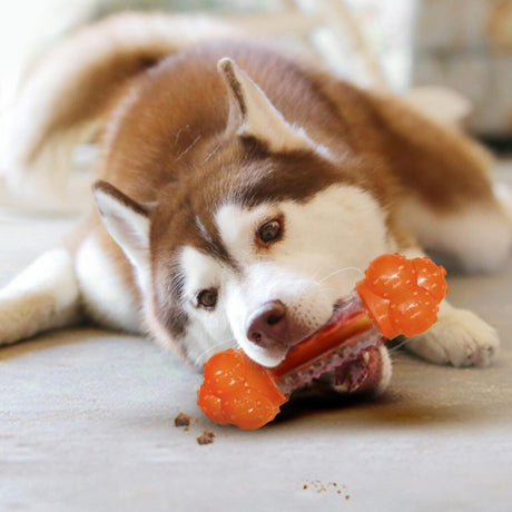 Nylabone Large Bacon Strong Chew Sneaky Snacker