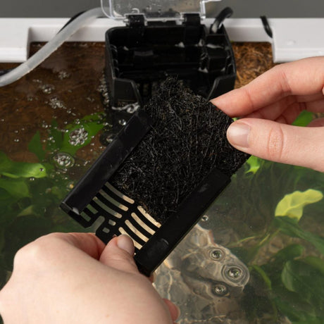 Interpet Internal Cartridge Filter CF2 - 3 Month Service Kit