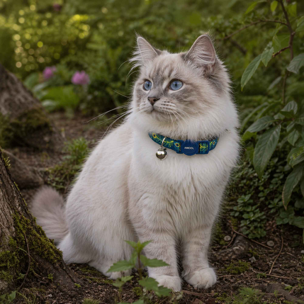Ancol Peacock Print Cat Collar